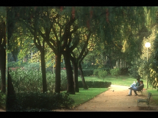 Parc del turo.jpg